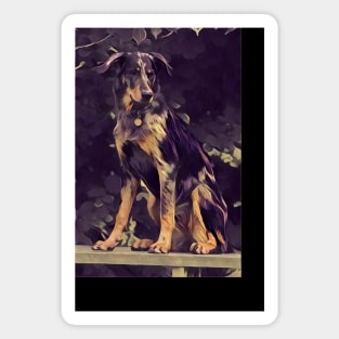 Beauceron Magnet